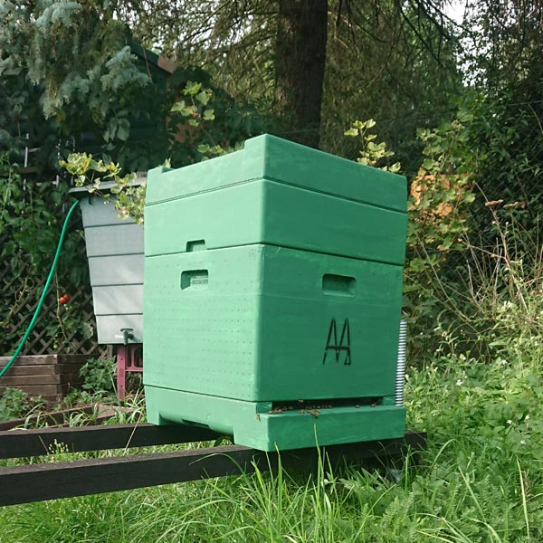 Bienenstock