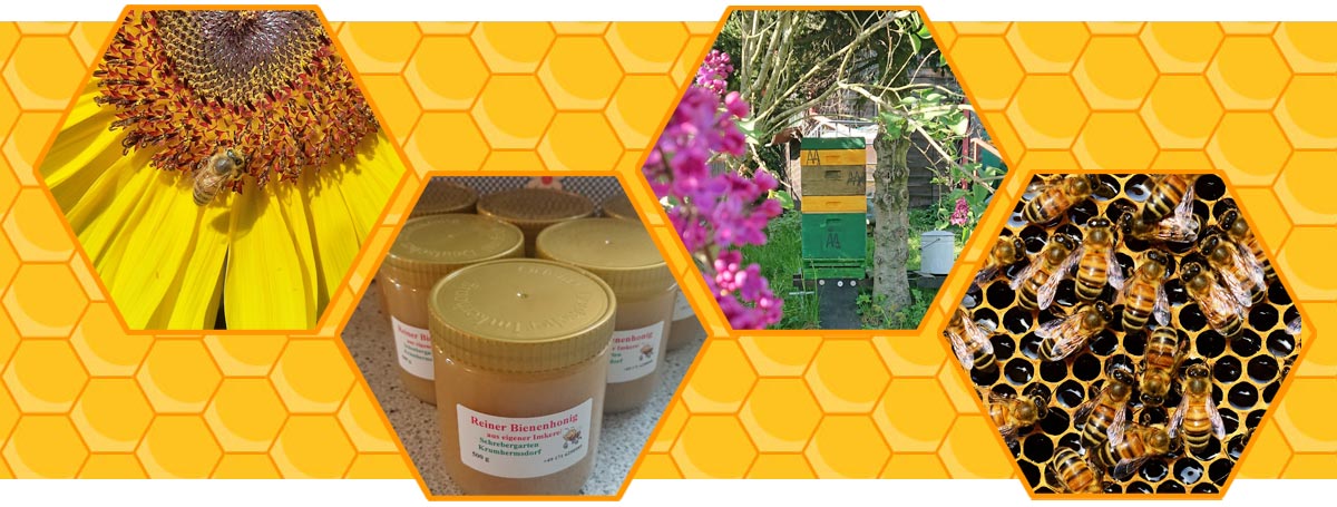 Imkerei in Neustadt in Sachsen / OT Krumhermsdorf